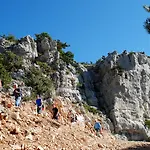 Bretanide Sport & Wellness Bol