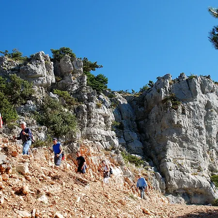 Bretanide Sport & Wellness بول