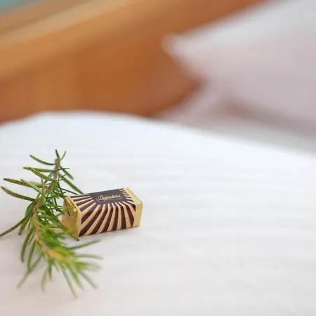 Bretanide Sport & Wellness 4*